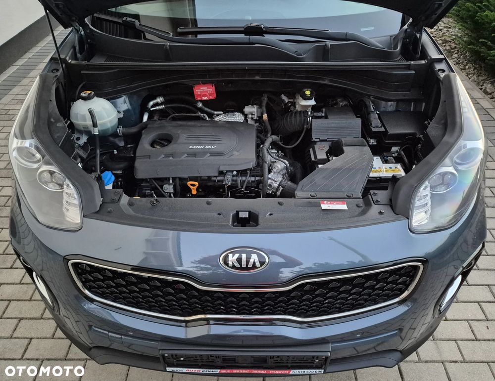 Kia Sportage - 39