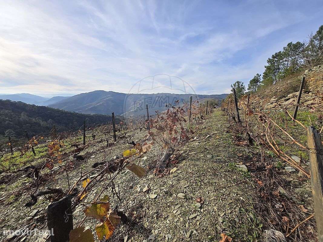 Terreno  para venda - Grande imagem: 4/22