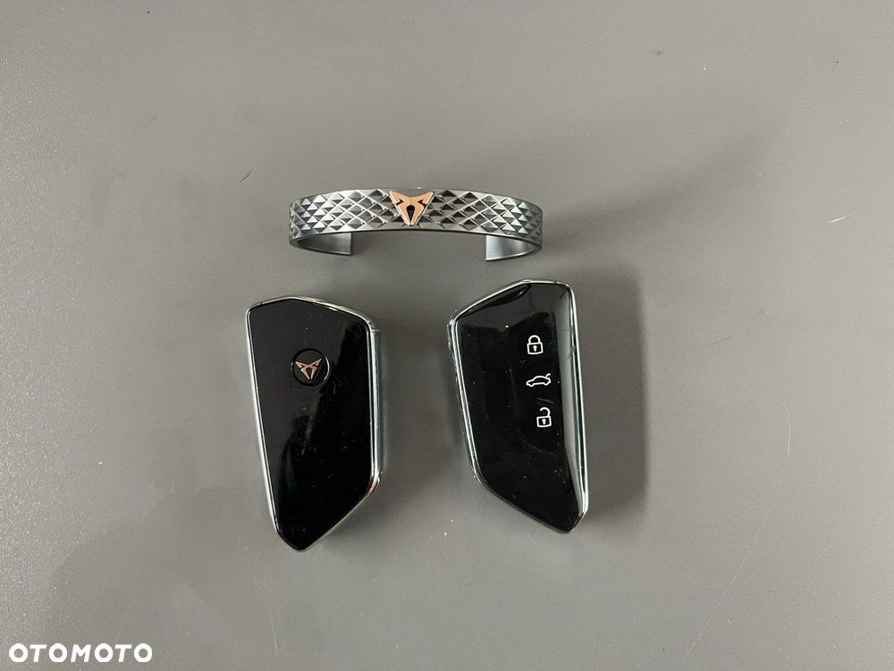 Cupra Terramar 2.0 TSI 4Drive DSG Tribe Edition - 20