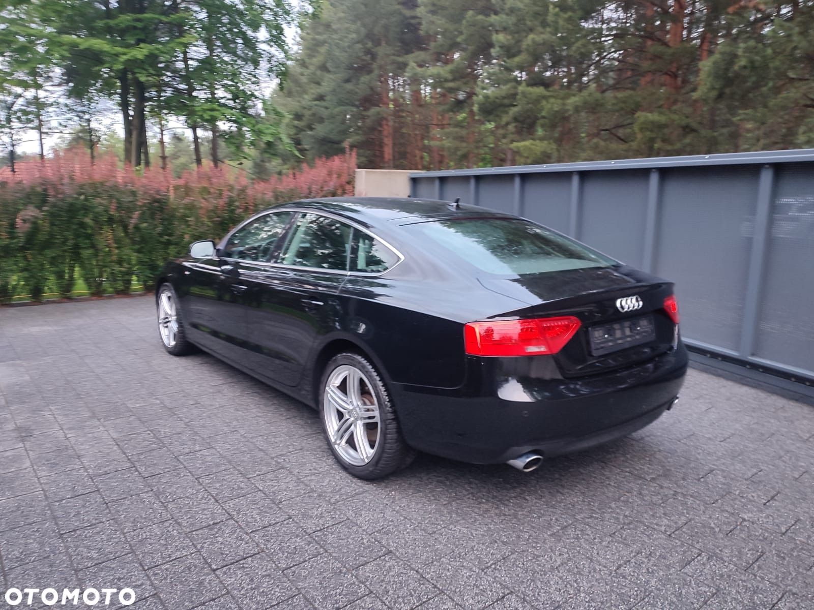 Audi A5 1.8 TFSI Sportback - 4
