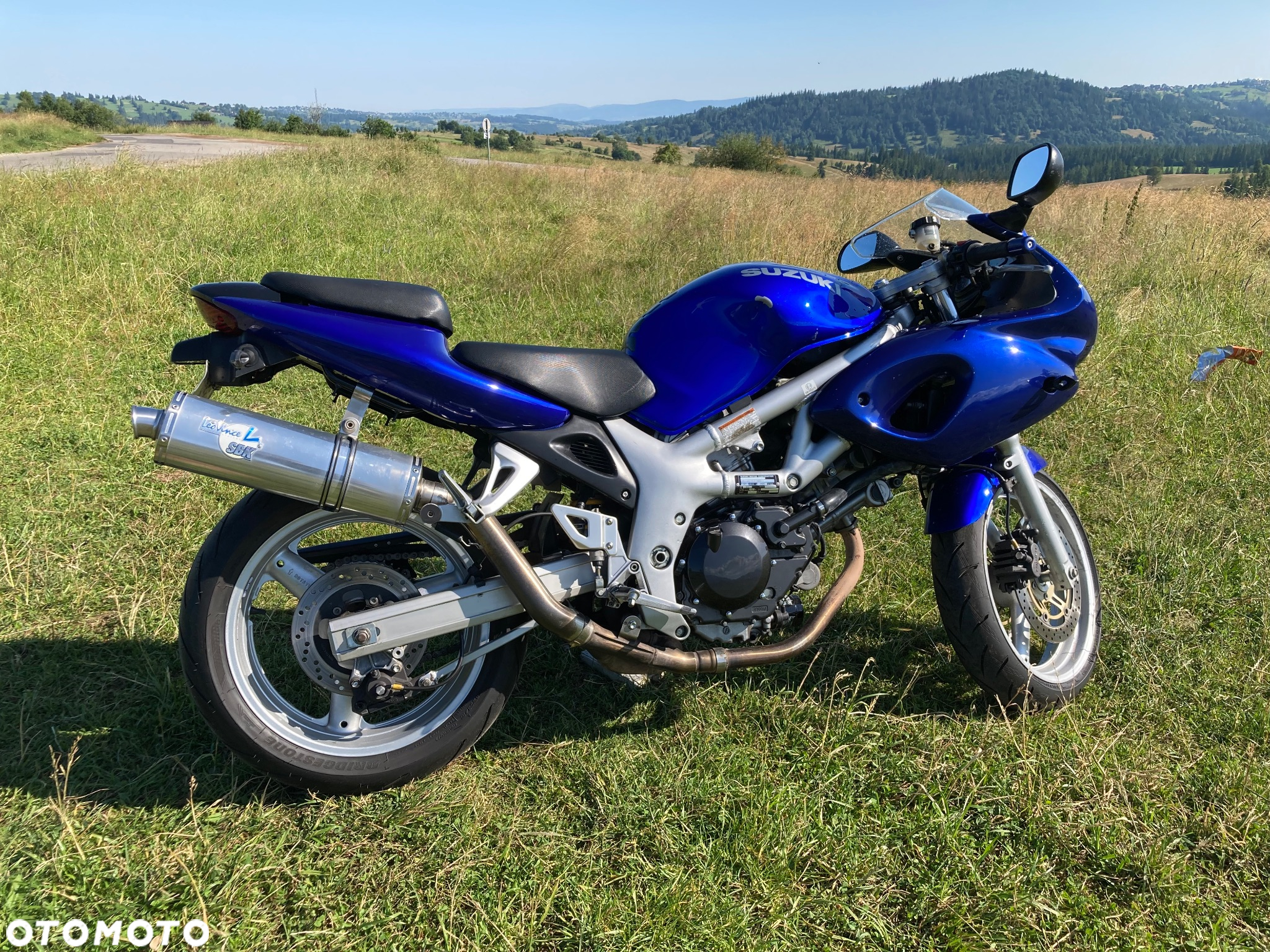 Suzuki SV - 19