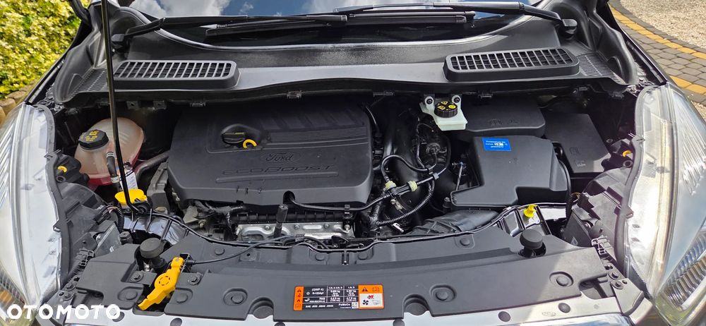 Ford Kuga 1.5 EcoBoost FWD Edition ASS - 14