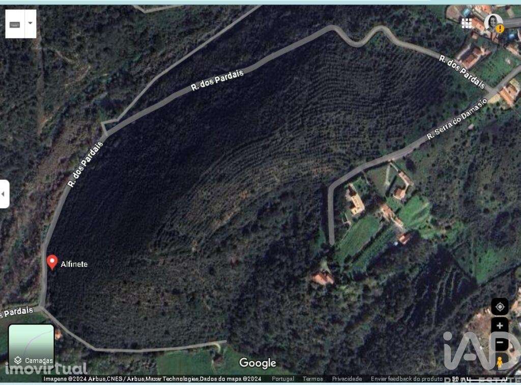 Terreno em Carvoeira de 2187,00 m2 - Grande imagem: 2/19