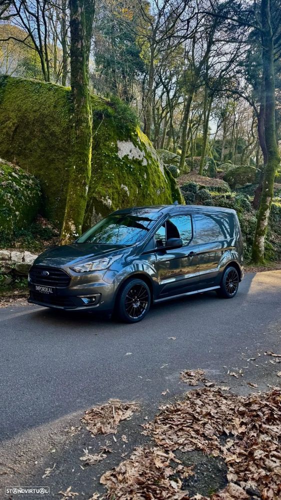 Ford Transit Connect - 19