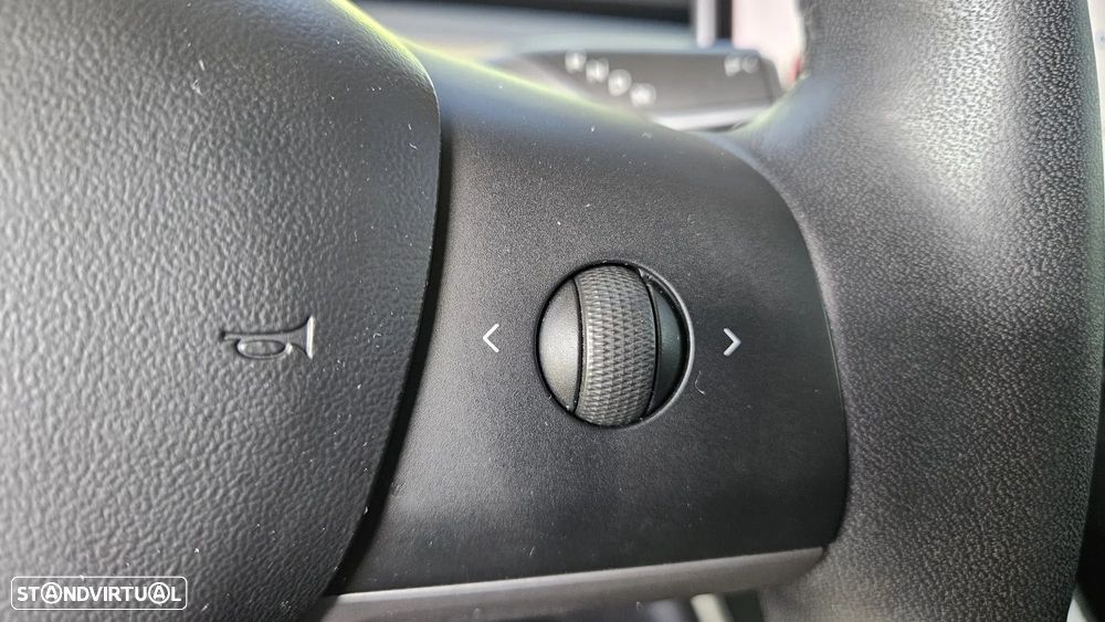 Tesla Model 3 Standard RWD Plus - 17