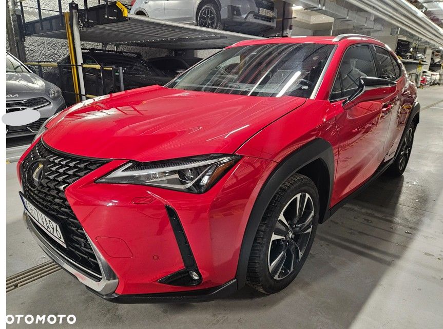 Lexus UX 250h GPF Business Edition 2WD - 2