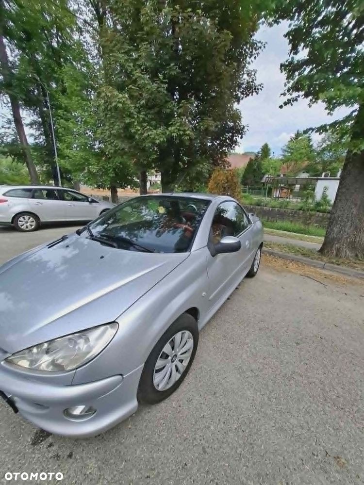 Peugeot 206 - 6