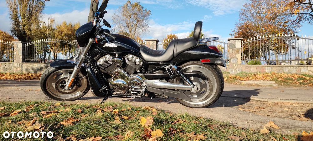 Harley-Davidson V-Rod Night Rod - 7