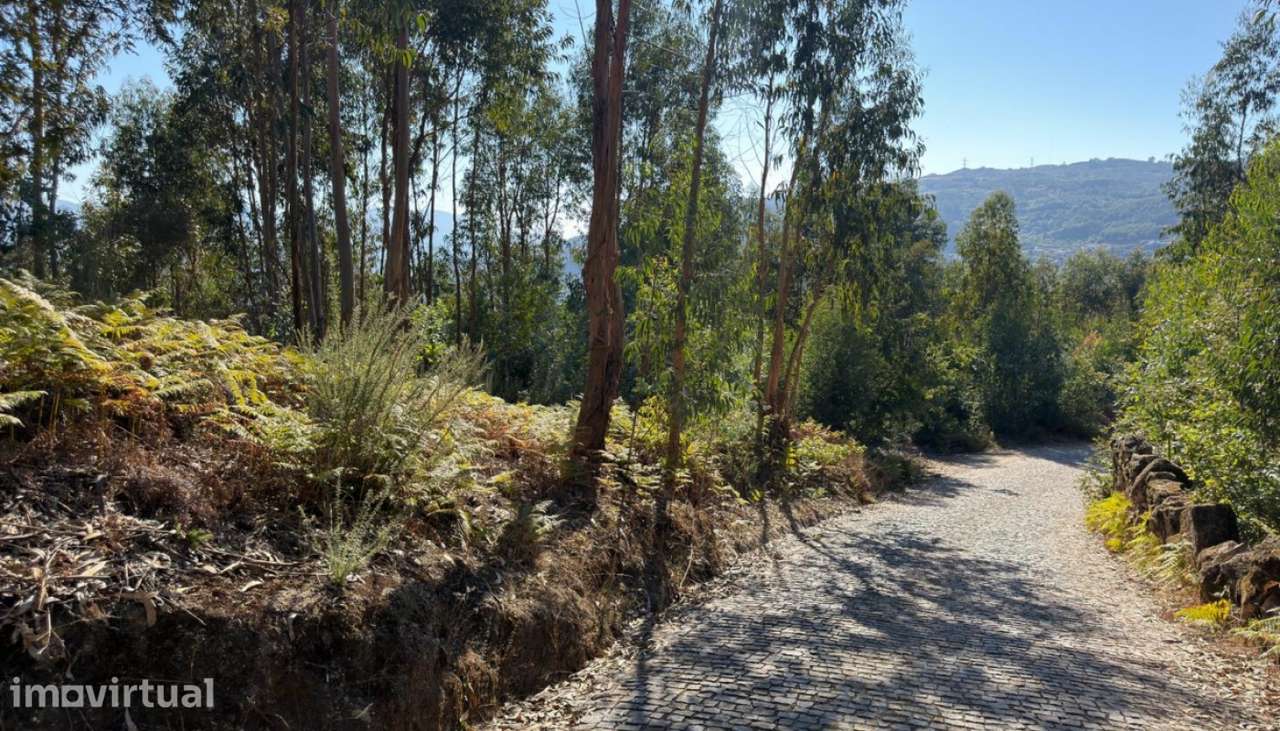Venda Terreno, Mesquinhata, Baião - Grande imagem: 5/30