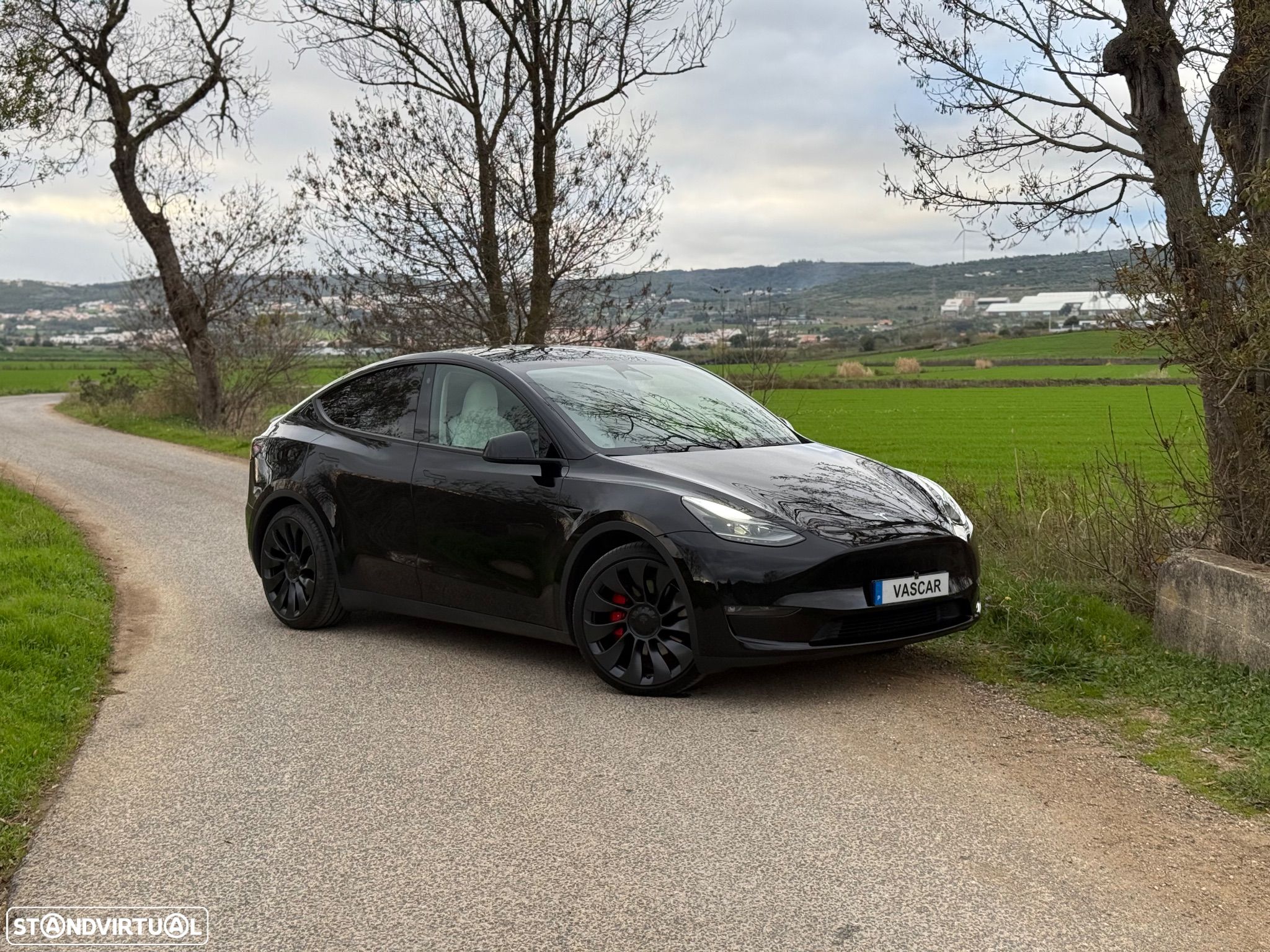 Tesla Model Y - 1