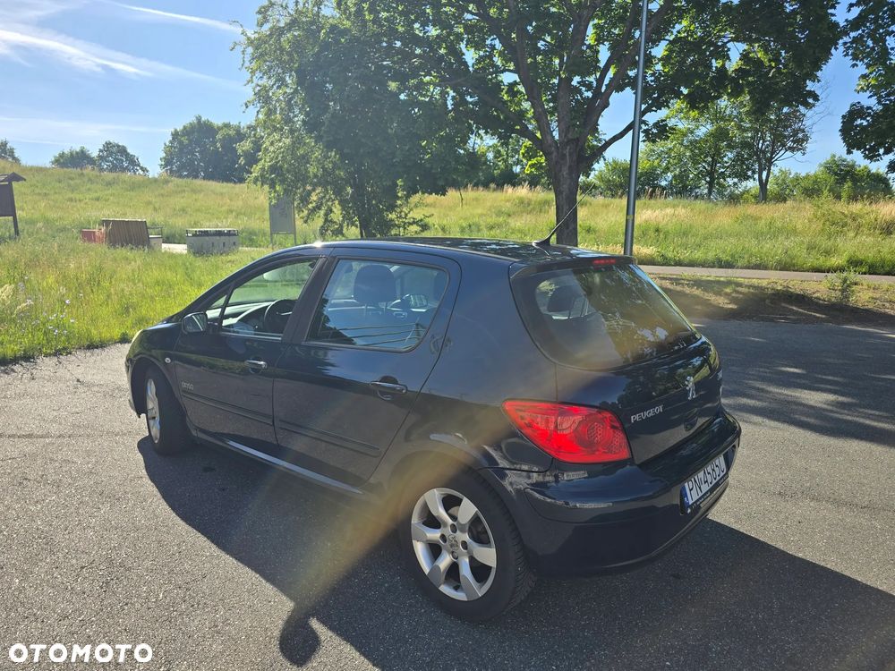 Peugeot 307 1.6 Oxygo - 5