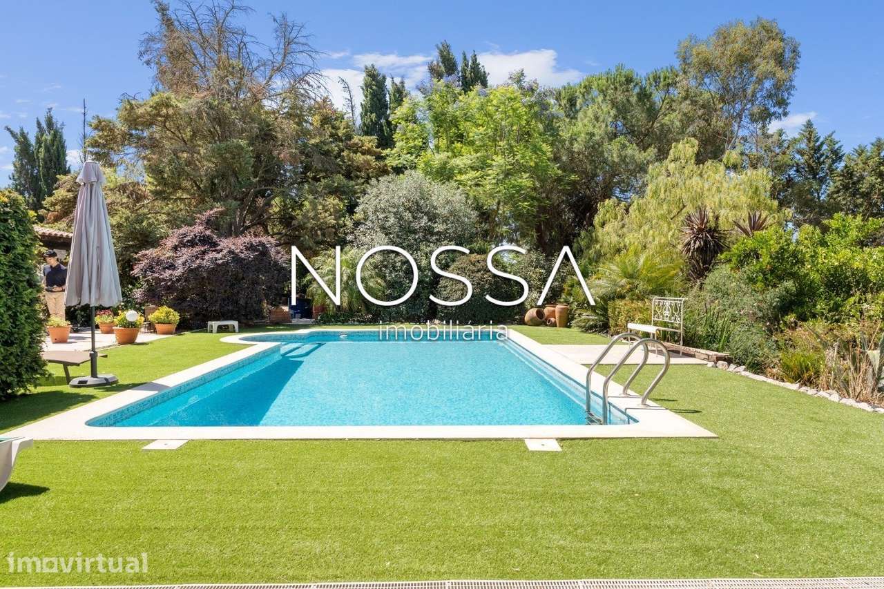 Qta | Palmela | 15.000m2 | Moradia T3 c/ Piscina - Grande imagem: 3/26