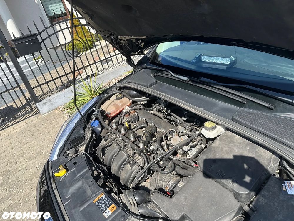 Ford Focus - 4