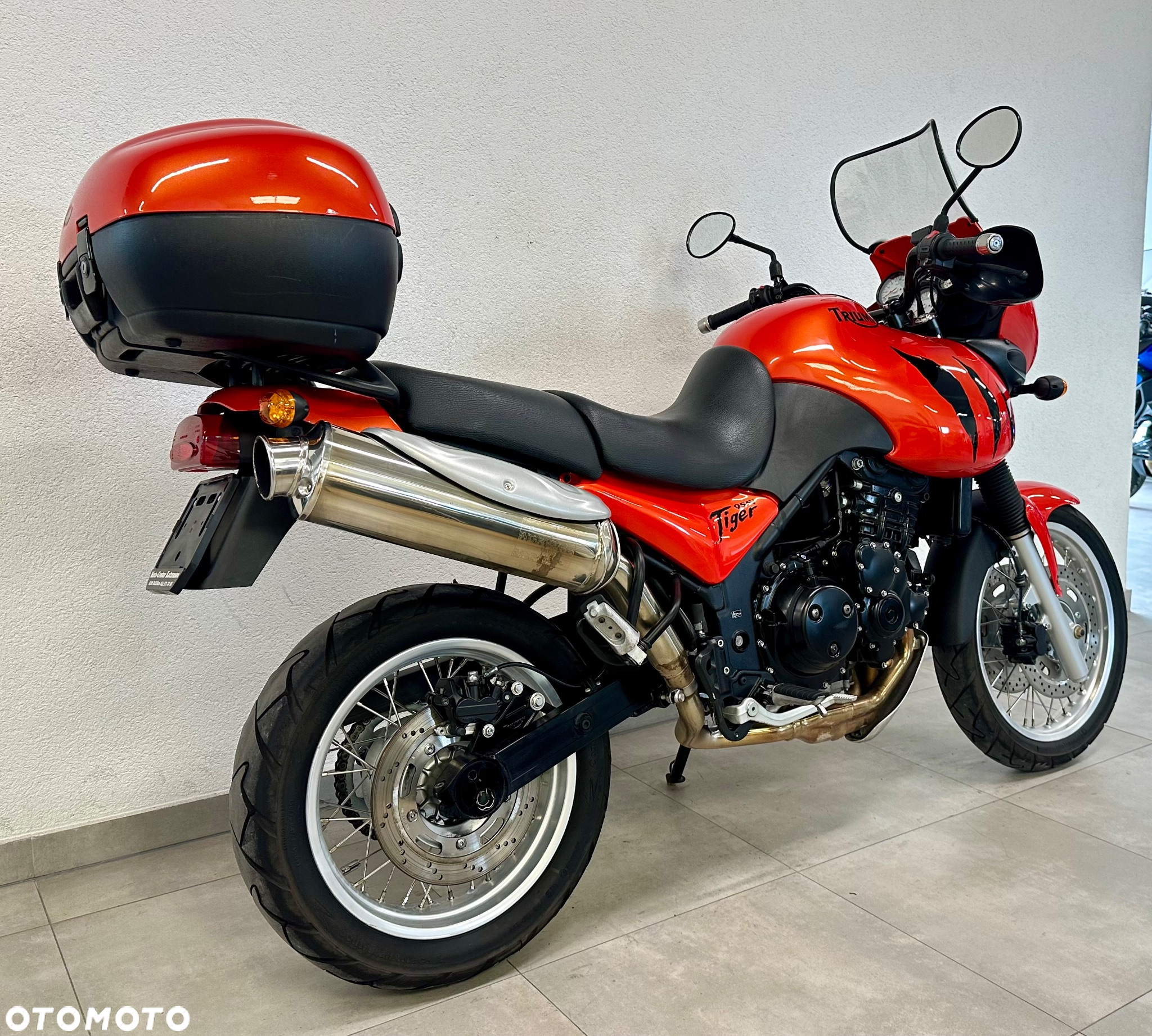 Triumph Tiger - 6