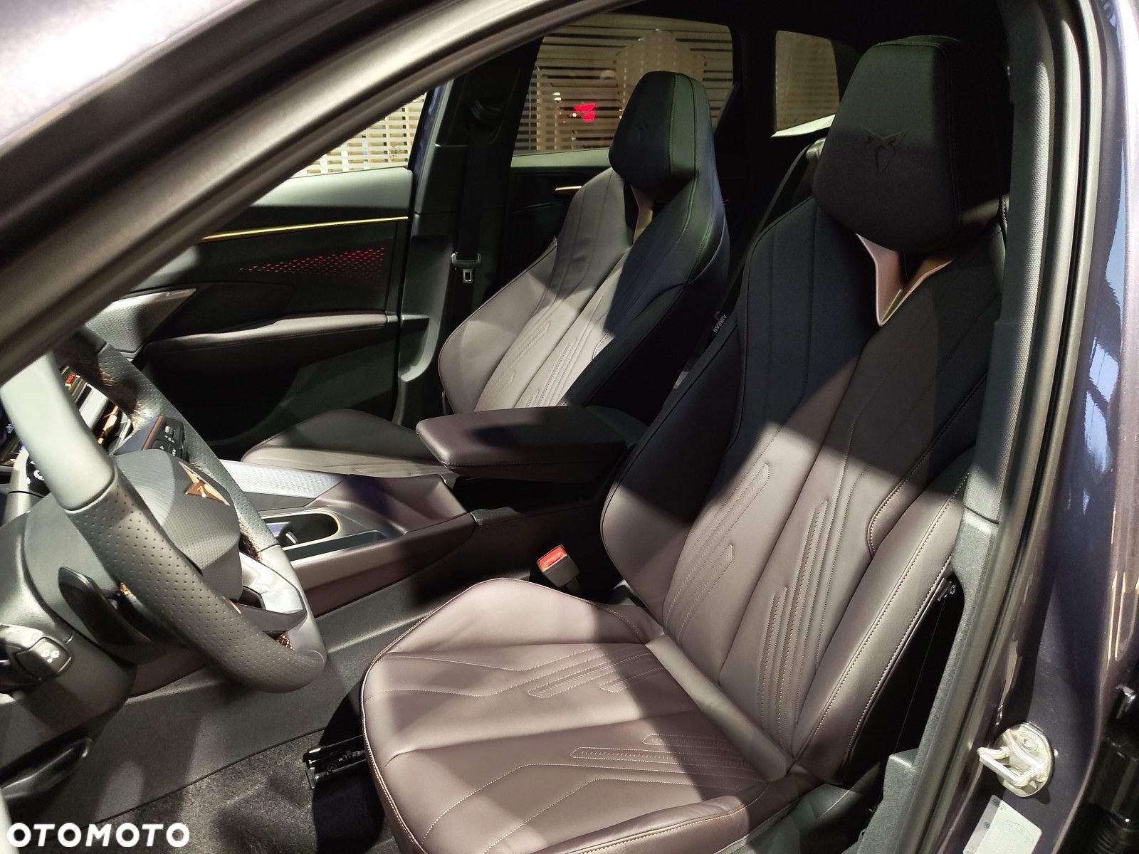 Cupra Terramar - 11