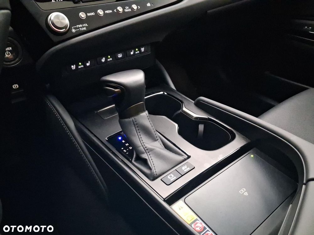 Lexus ES 300h Prestige - 19