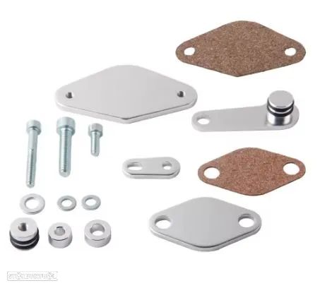 Kit anulação supressão de EGR BMW motores B47 N47N N57N - 3