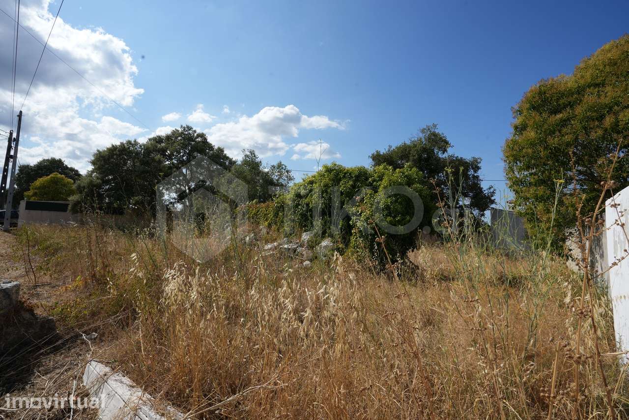 TERRENO 100% URBANO COM RUÍNA | 592,50 M² | TORRES NOVAS | 24.000 € - Grande imagem: 5/33