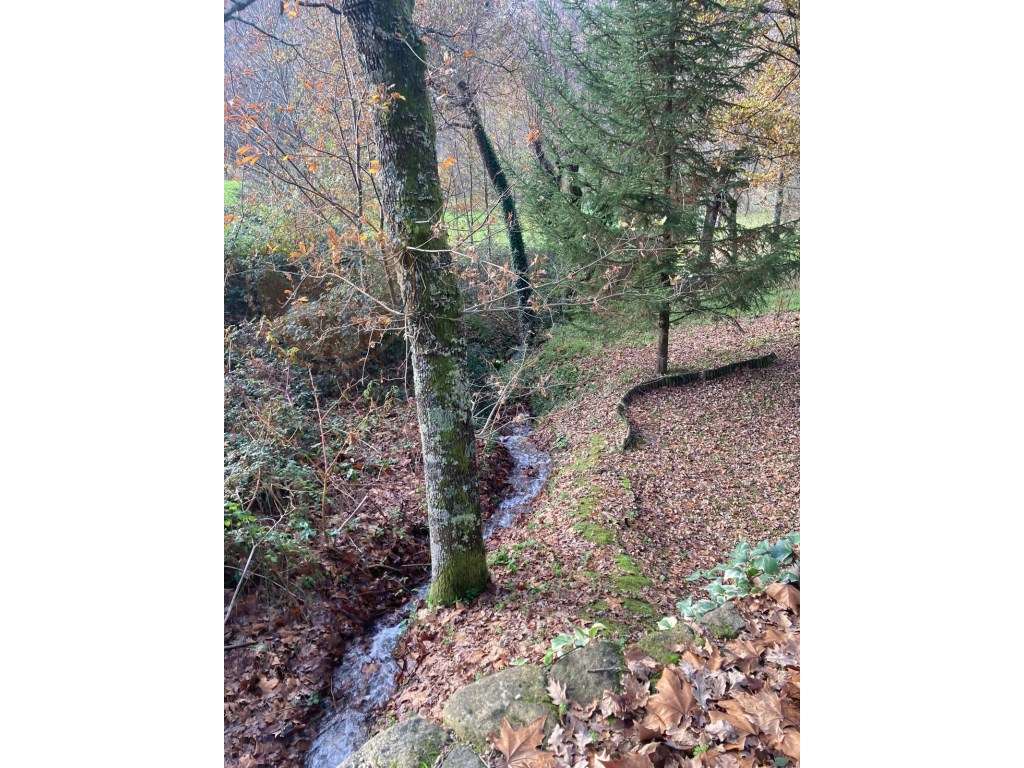 Ruína em Pedra com Vista Deslumbrante - Rio Douro, Cabeceiras de Basto - Grande imagem: 3/11