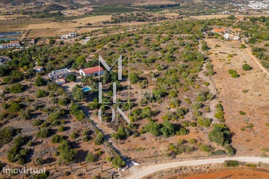 Quinta com 3,2 hectares em Silves - Grande imagem: 4/60