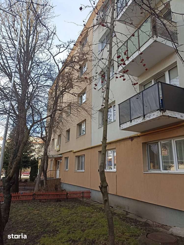 De închiriat apartament cu 4 camere pentru birou în Sfântu Gheorghe — fotografia 1