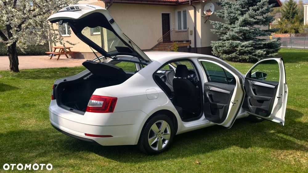 Skoda Octavia 2.0 TDI Ambition DSG - 19