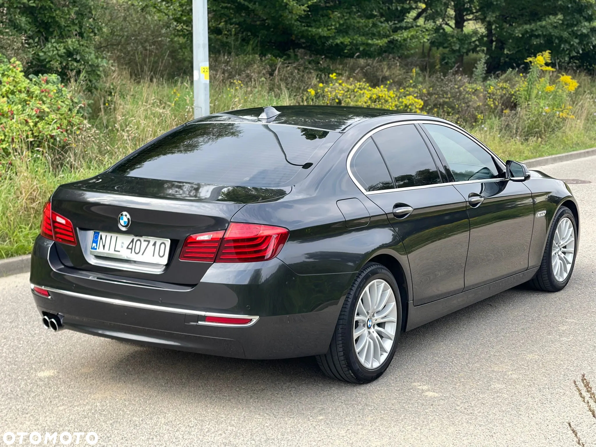 BMW Seria 5 525d xDrive Luxury Line - 7