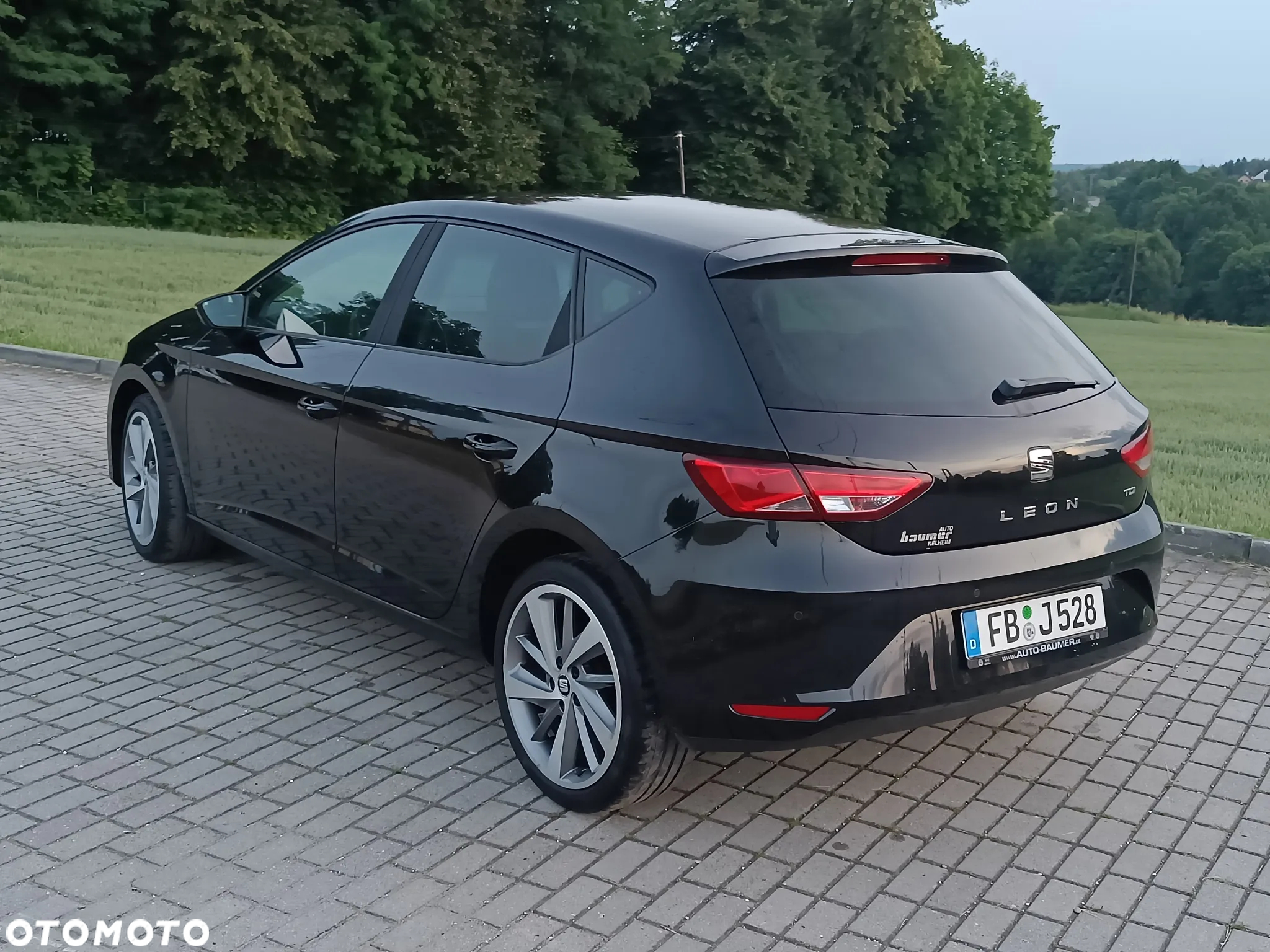 Seat Leon - 31