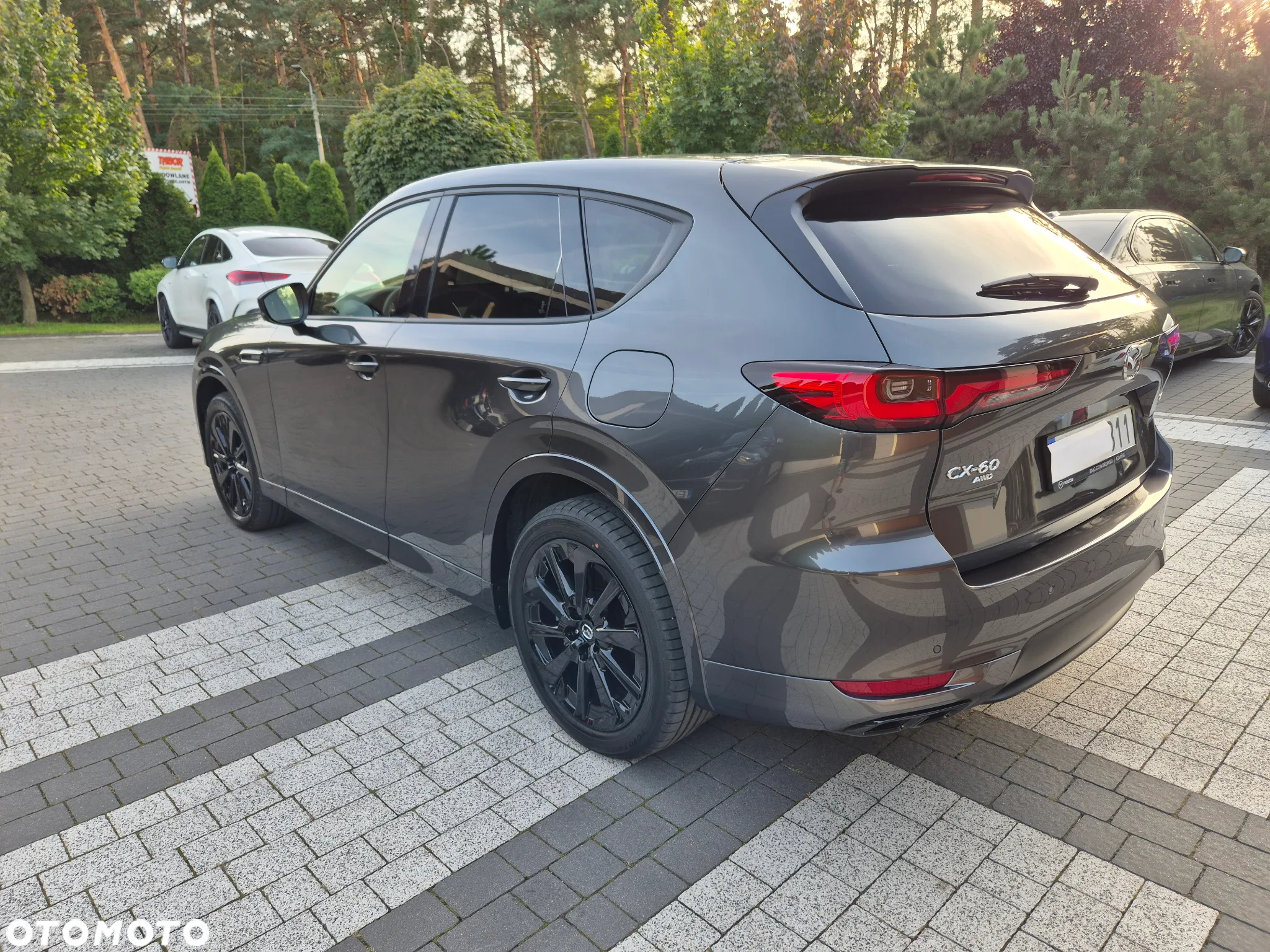 Mazda CX-60 - 17