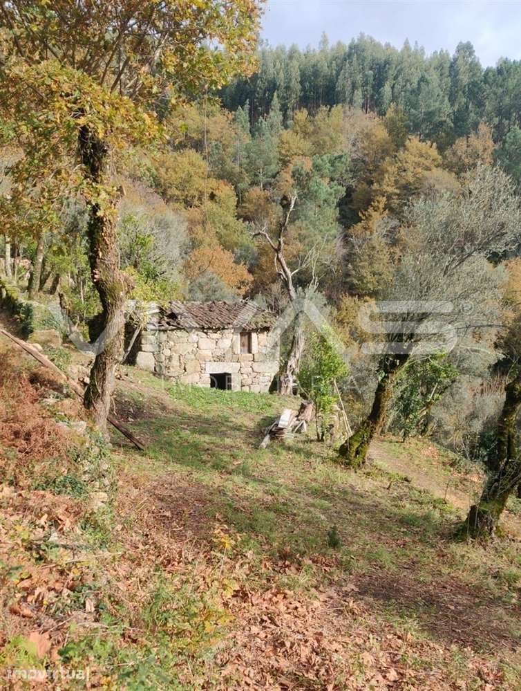Moradia para Restaurar T1 Venda em Valdosende,Terras de Bouro - Grande imagem: 2/60