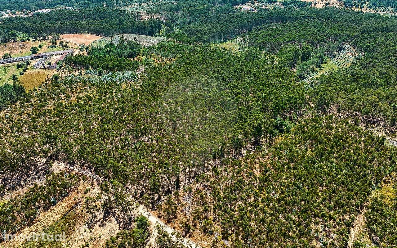 Terreno  para venda - Grande imagem: 3/9