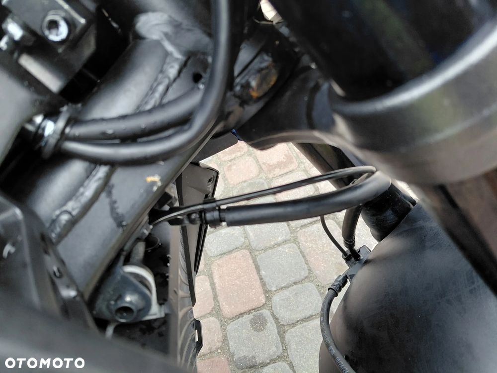 Honda Hornet - 15