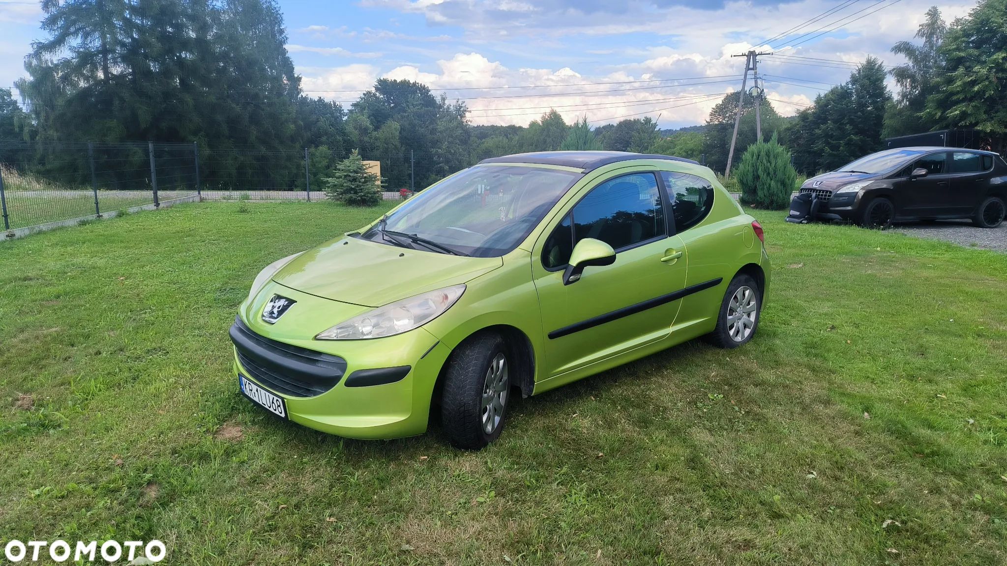 Peugeot 207 - 1