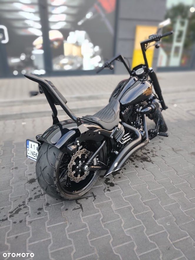 Harley-Davidson Softail - 6