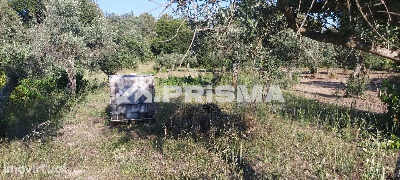 Quintinha  Póvoa Rio de Moinhos - Grande imagem: 3/11