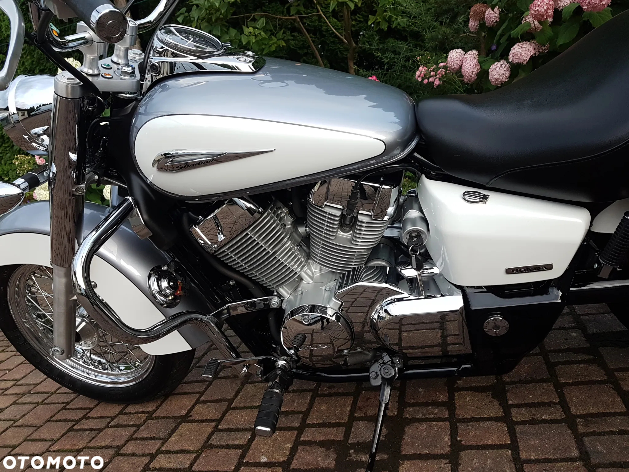Honda Shadow - 8