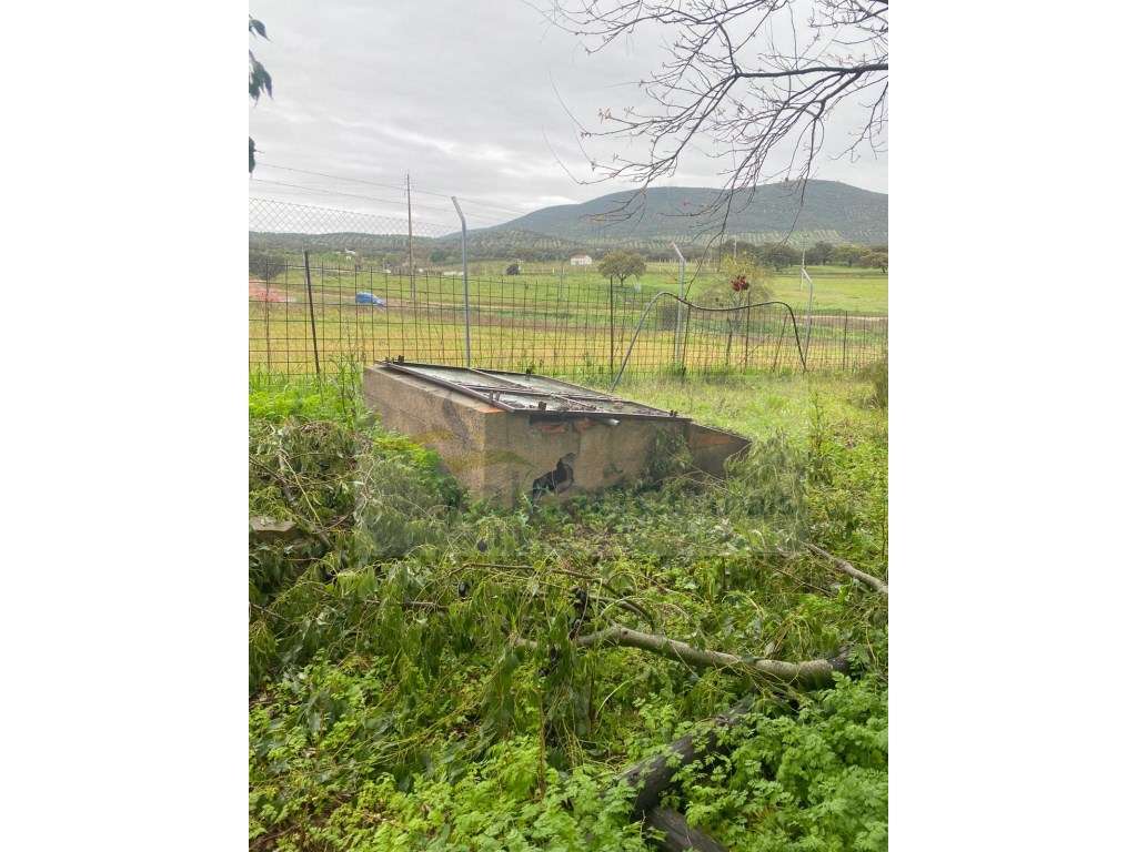 Quintinha de charme com 1,7 ha, capela privada e abundância de água... - Grande imagem: 5/37