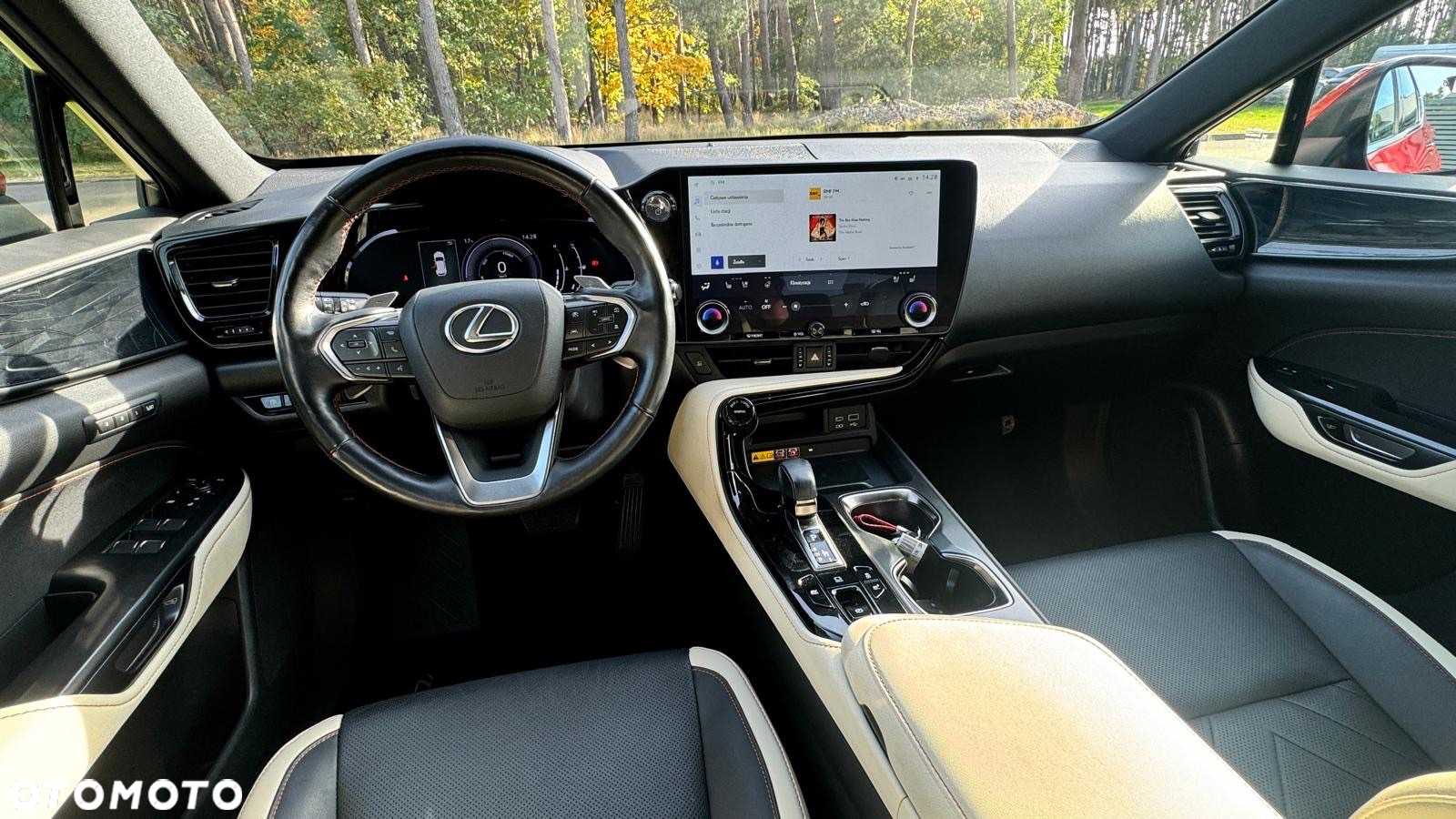 Lexus NX - 13