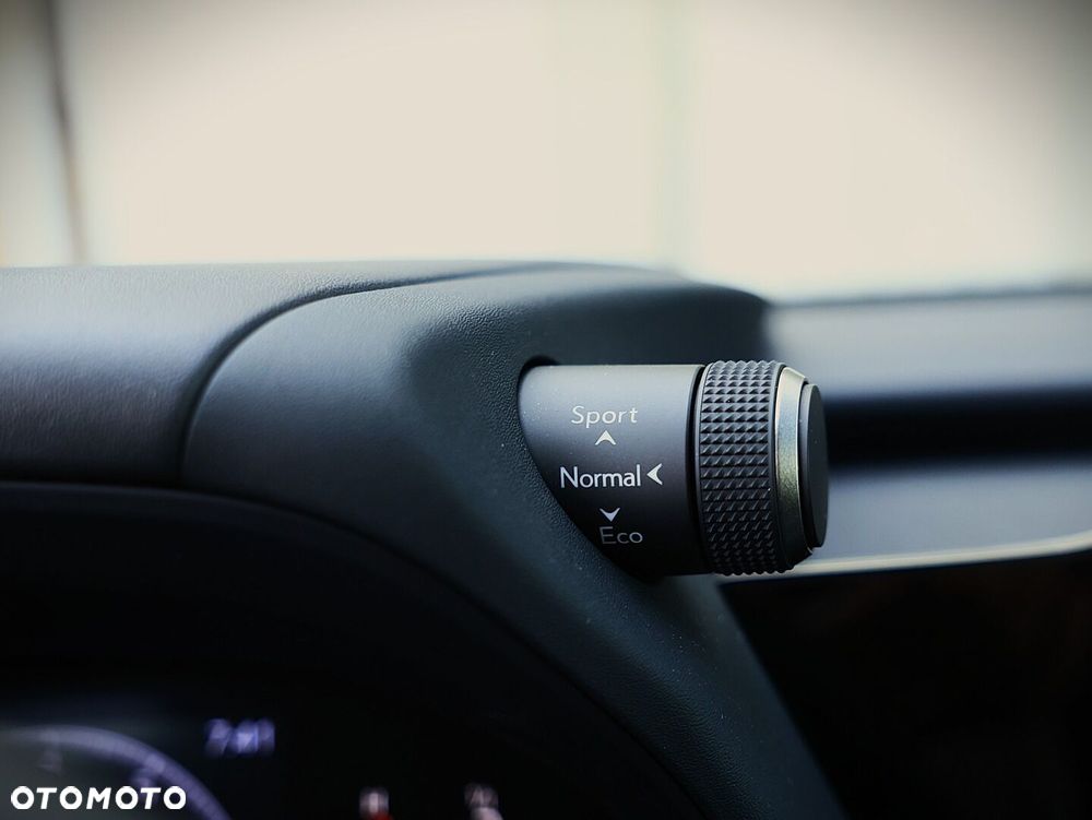 Lexus UX 300h Elegance - 26