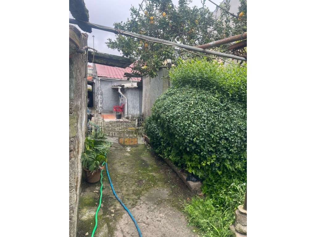 Terreno 1000m² com Viabilidade para Edifício - Sra. da Hora - Grande imagem: 4/20