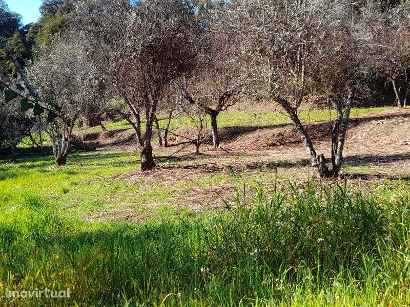 Terreno Arega Figueiró dos Vinhos, Leiria com 2.136,91 m2 e  poço muit - Grande imagem: 5/10