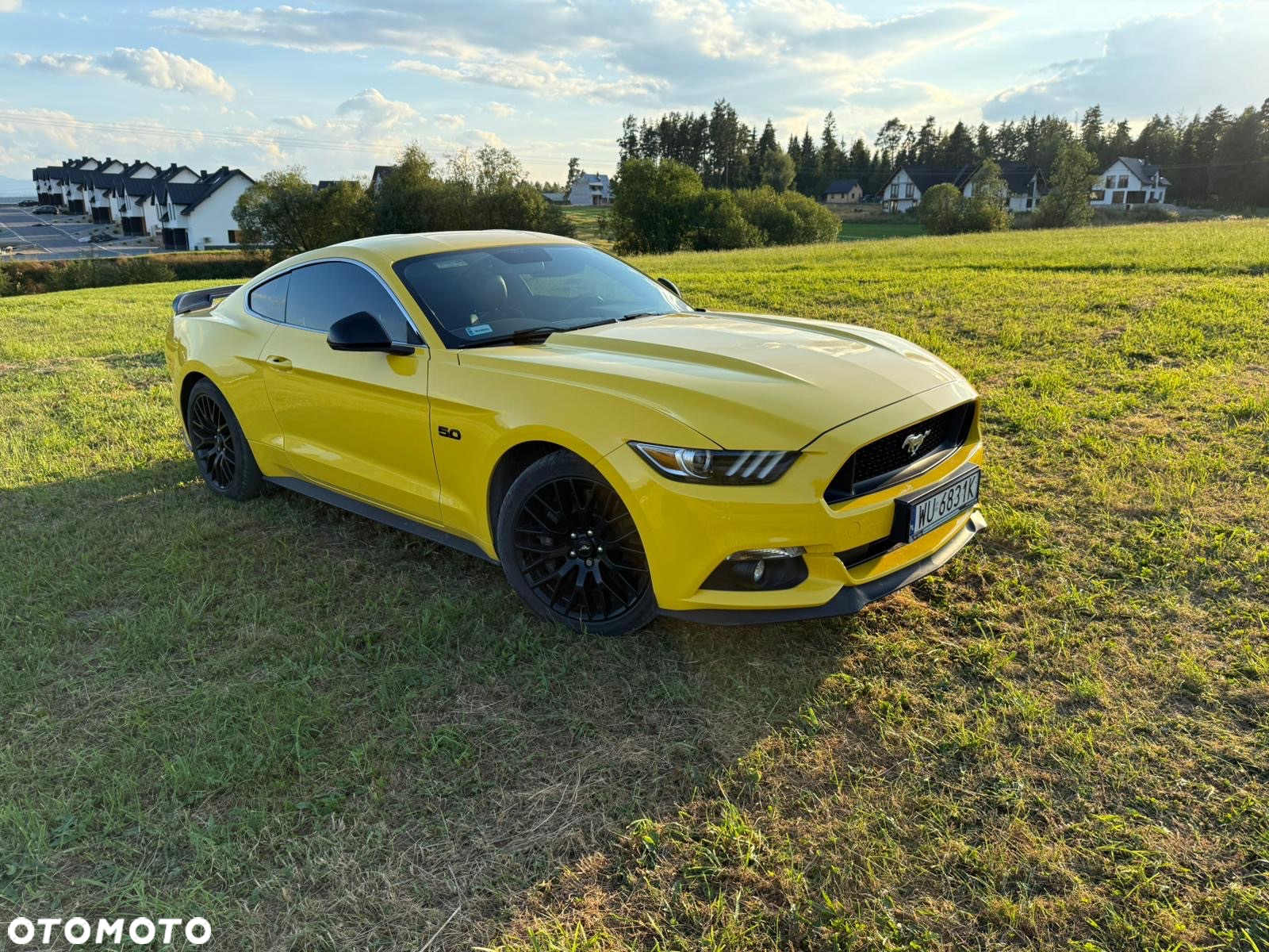 Ford Mustang 5.0 V8 GT - 14