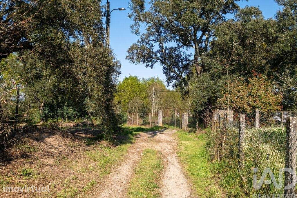 Terreno em Ovoa e Vimieiro - Grande imagem: 2/15