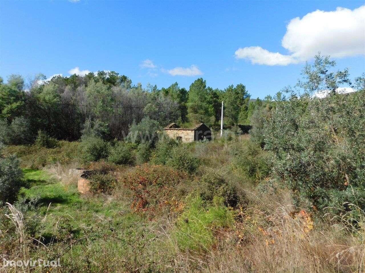 Quintinha / Fundão, Vale Prazeres - Grande imagem: 5/9