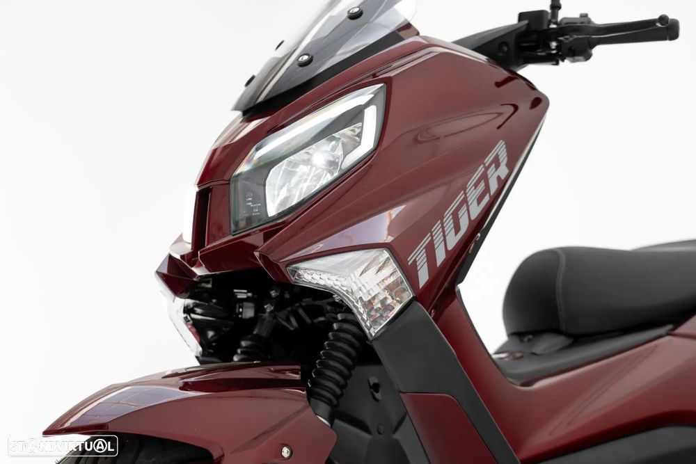 Efun Tiger - 6