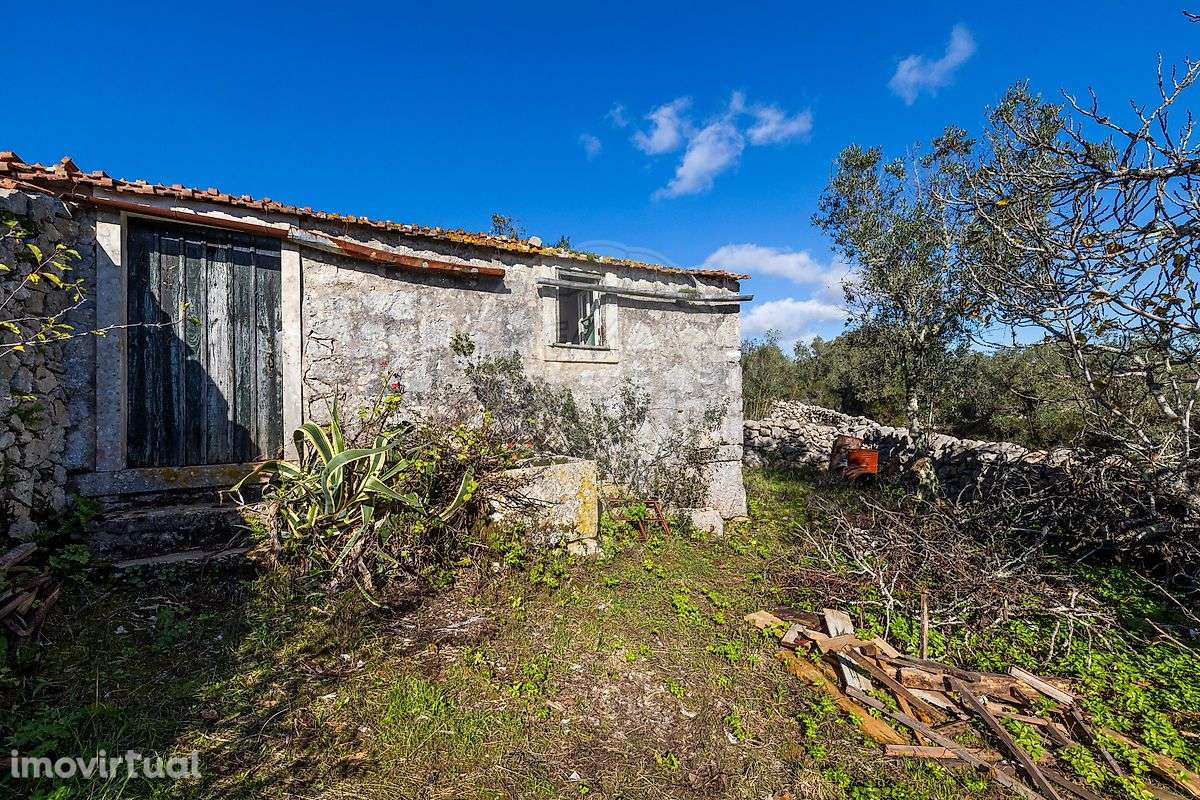 Moradia T3 para venda - Grande imagem: 3/29