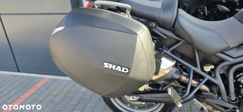 Triumph Tiger - 14