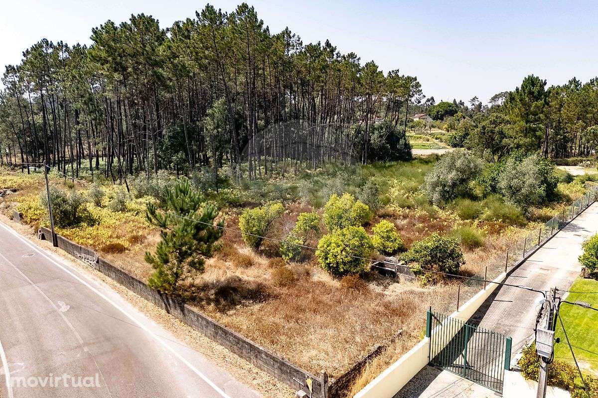 Terreno  para venda - Grande imagem: 4/6