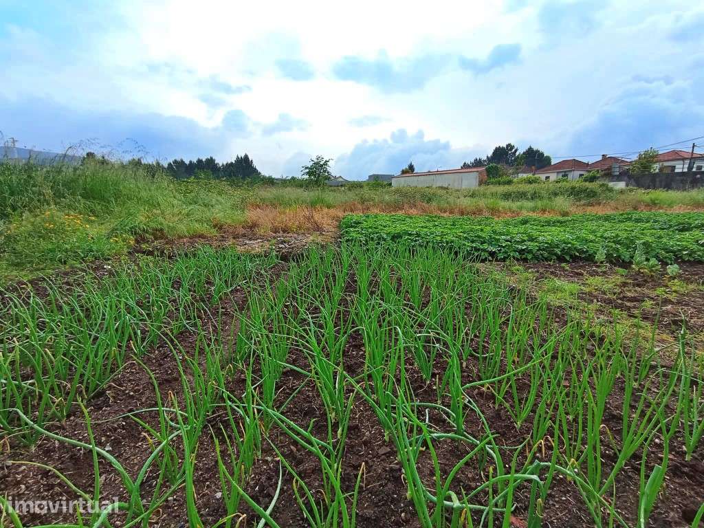 Terreno para 18 moradias em Sobrado - Grande imagem: 5/7