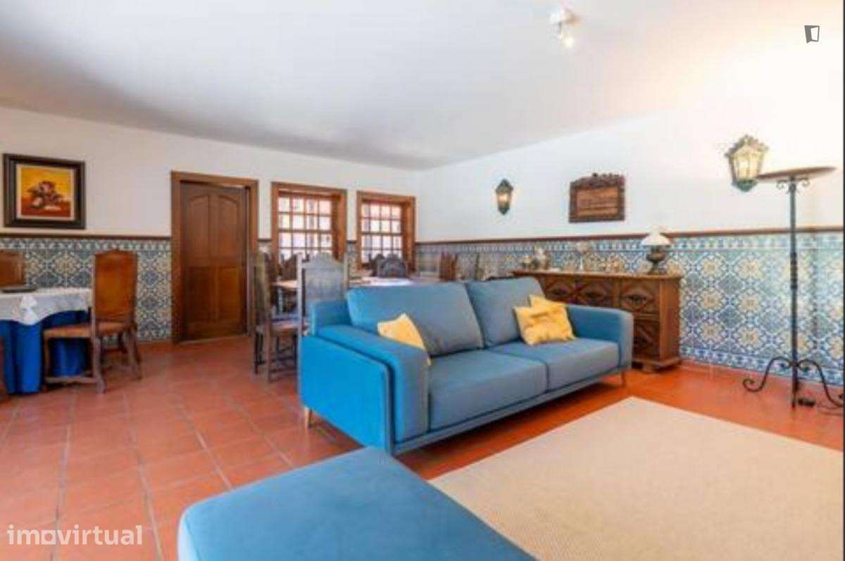 Casa com 5 quartos - localizado em Vila real - Grande imagem: 5/49